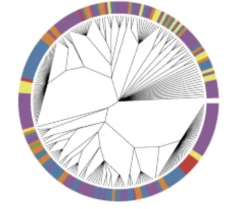 Defining heritability, plasticity, and transition dynamics of cellular phenotypes in somatic evolution