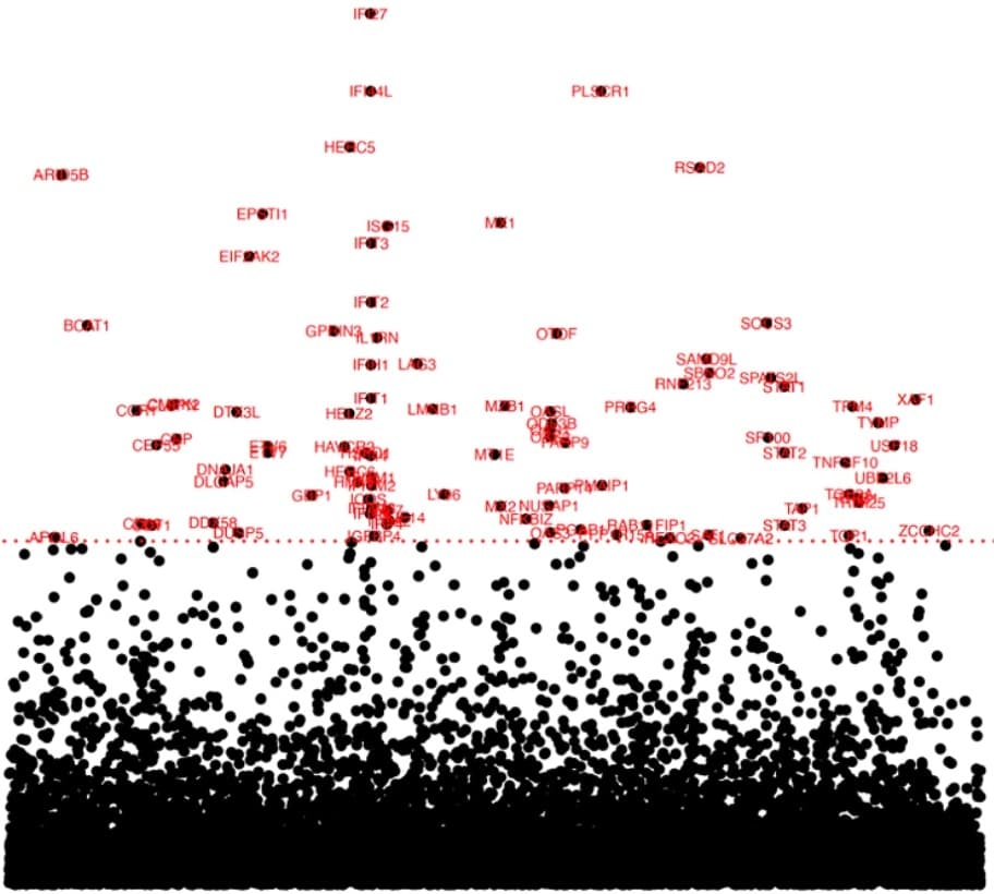Improving reproducibility of differentially expressed genes in single-cell transcriptomic studies of neurodegenerative diseases through meta-analysis