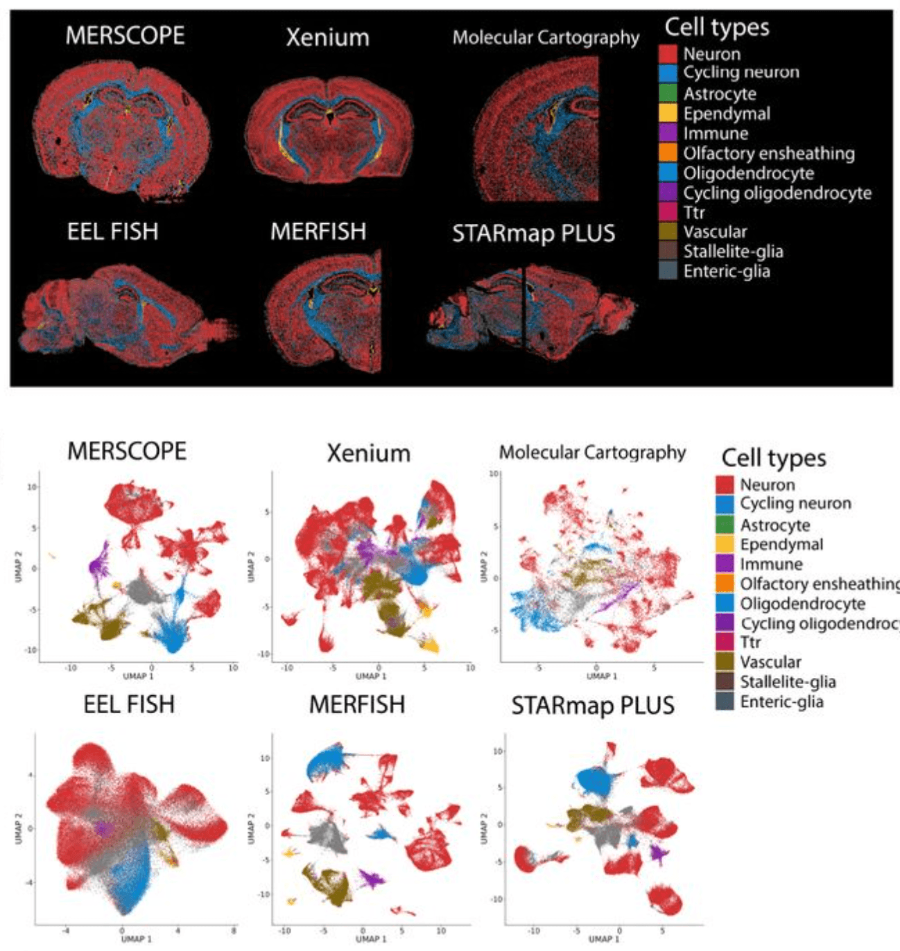 Comparative analysis of multiplexed in situ gene expression profiling technologies