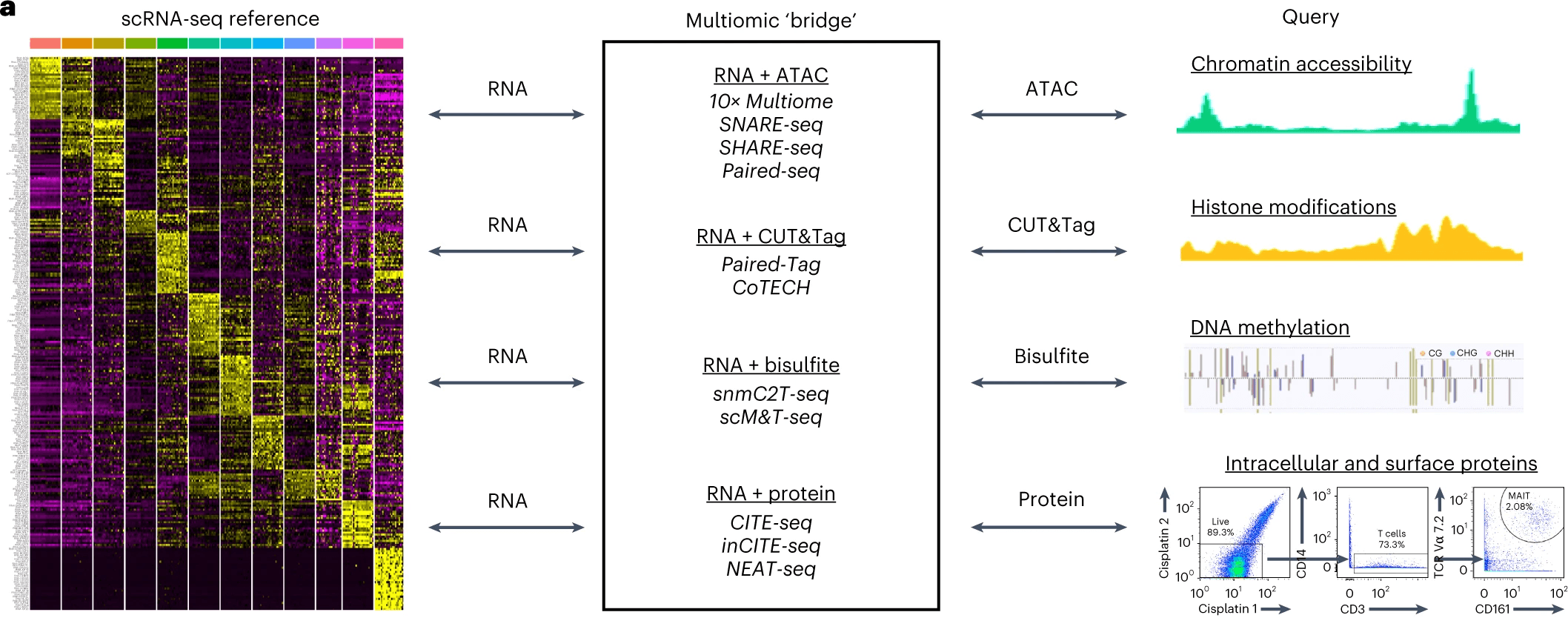 Dictionary learning for integrative, multimodal, and scalable single-cell analysis