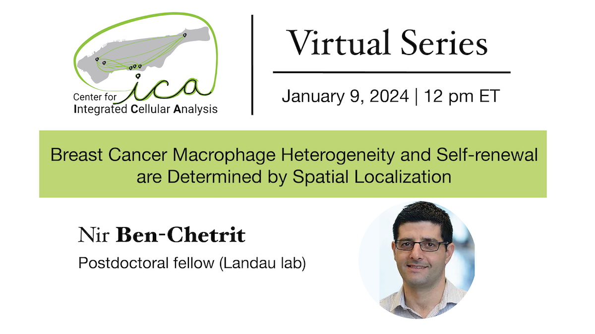 Breast Cancer Macrophage Heterogeneity and Self-renewal are Determined by Spatial Localization