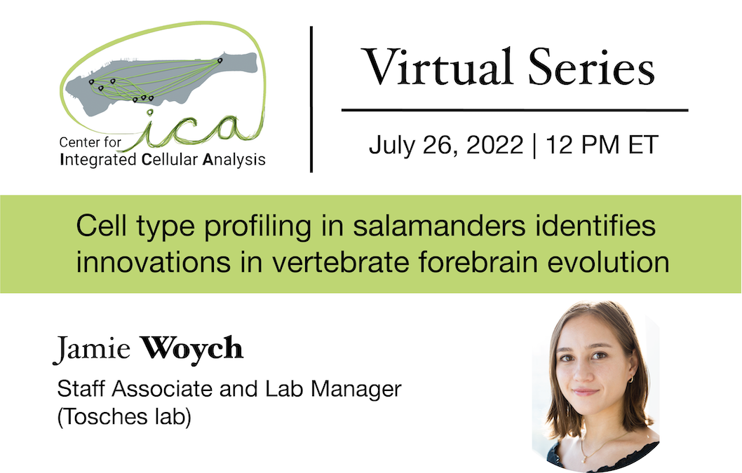 Single-cell genomics methods
