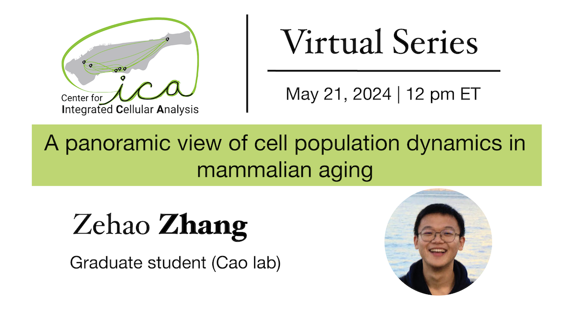 A panoramic view of cell population dynamics in mammalian aging