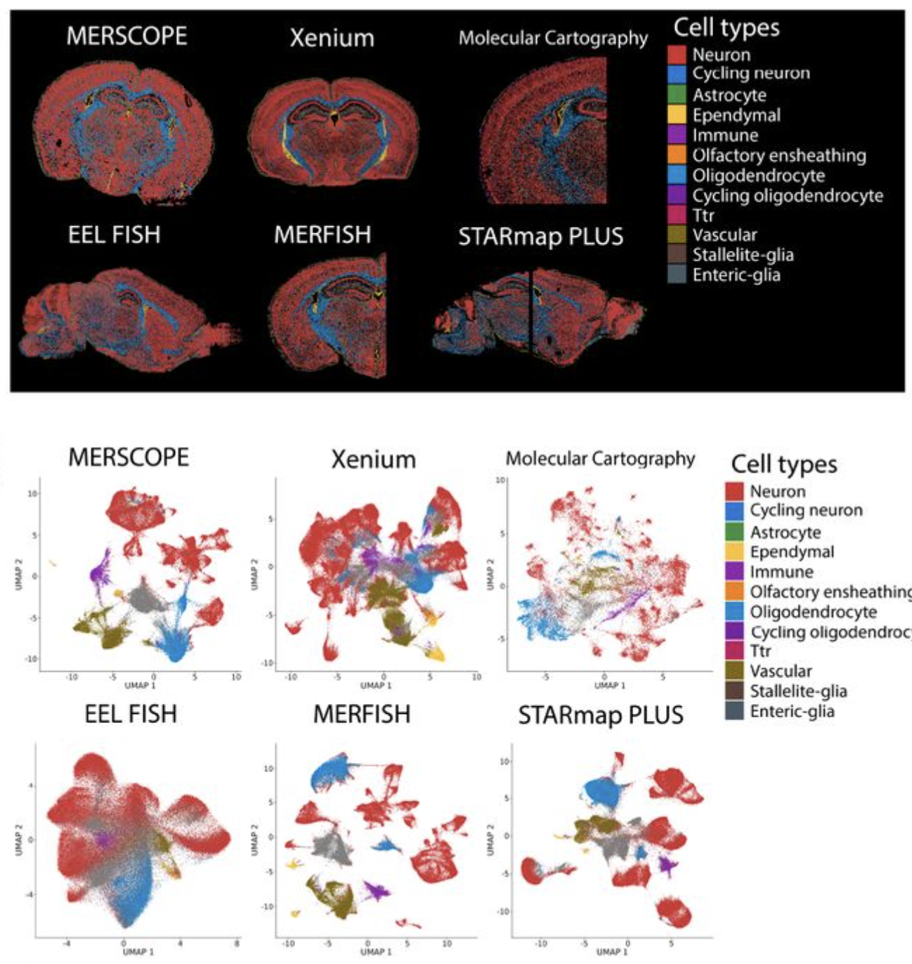 Comparative analysis of multiplexed in situ gene expression profiling technologies