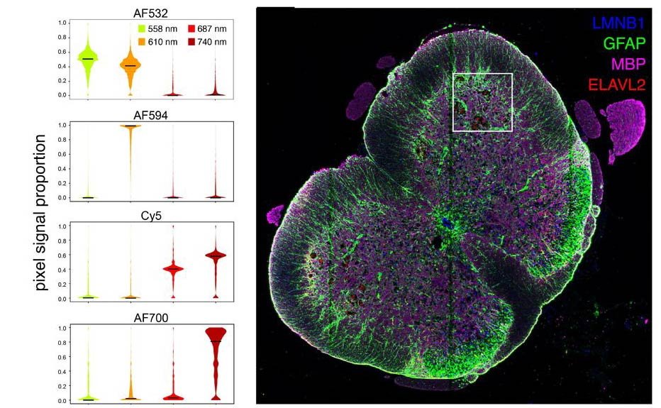PySeq2500: An open source toolkit for repurposing HiSeq 2500 sequencing systems as versatile fluidics and imaging platforms