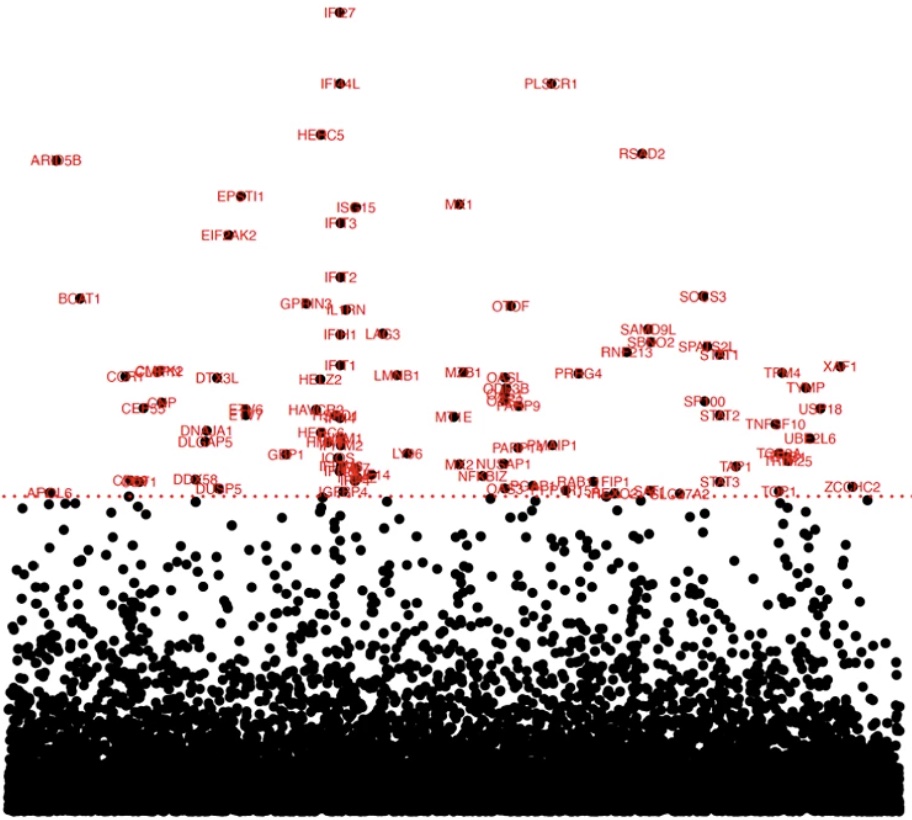 Improving reproducibility of differentially expressed genes in single-cell transcriptomic studies of neurodegenerative diseases through meta-analysis
